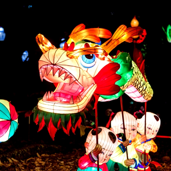 Auckland Lantern Festival Auckland Events Heart of the City